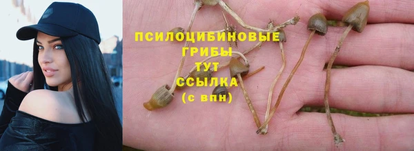 молекула духа Абдулино