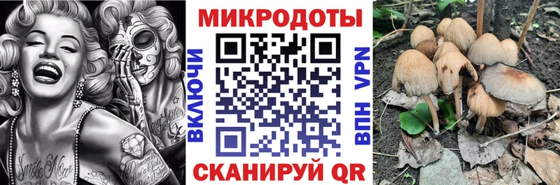Галлюциногенные грибы MAGIC MUSHROOMS  Никольск 